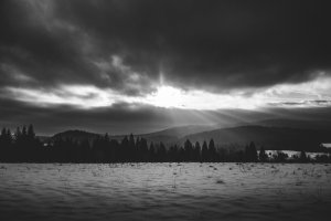 Marcin Walko - Na wschód od Edenu