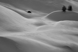 Marcin Bawiec - n.p.m