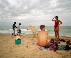 Martin Parr (1952 - 2025)