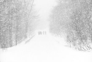 Bieszczady - Nasiczne magiczne