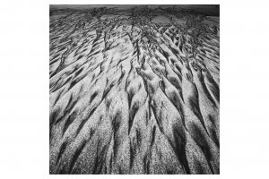 fot. Martina Bieniarz