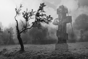 Alicja Przybyszowska - Prześwietlenia