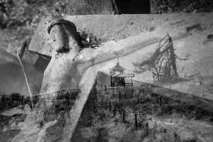 Alicja Przybyszowska - Prześwietlenia