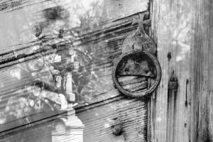 Alicja Przybyszowska - Prześwietlenia