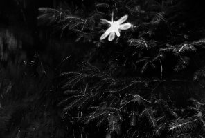 Michał Korta - To, co dzikie, nie ma słów