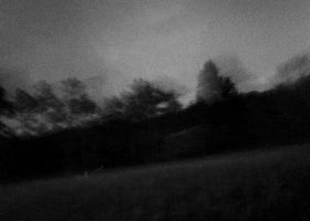 Michał Korta - To, co dzikie, nie ma słów