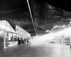 Michał Łuczak - Brutal