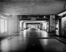 Michał Łuczak - Brutal