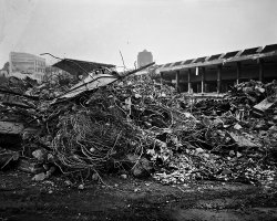 Michał Łuczak - Brutal