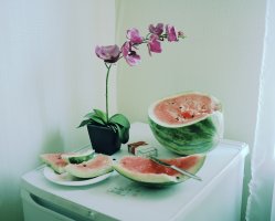 Michał Solarski - Rest Behind the Curtain