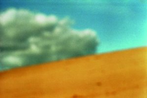 Wojciech Prażmowski - Miłosz. Tutejszy