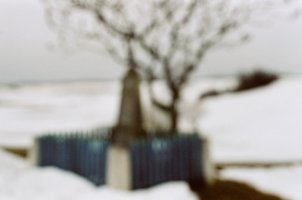 Wojciech Prażmowski - Miłosz. Tutejszy