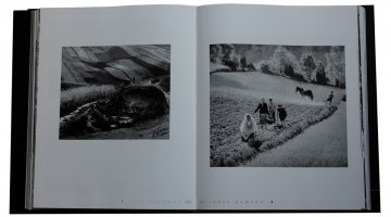 Mistrzowie Polskiego Pejzażu