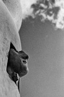 Krzysztof Łapka - Mitoraj w Krakowie