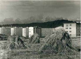 Światło Gdyni. Fotografie Bolesławy i Edmunda Zdanowskich 1945-1970