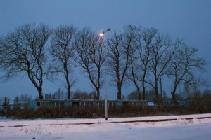 Maciej Zdun - Autoportrety