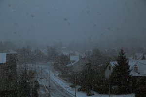 Maciej Zdun - Autoportrety