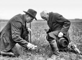 Fotograficzne widzenie tradycji. Obrzędy doroczne na Górnym Śląsku