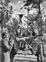 Fotograficzne widzenie tradycji. Obrzędy doroczne na Górnym Śląsku