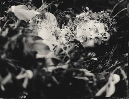 II Wschodni Festiwal Fotografii 2025