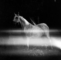 II Wschodni Festiwal Fotografii 2025