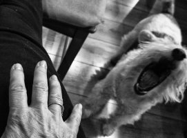 Małgorzata Wakuluk - Nie o tym