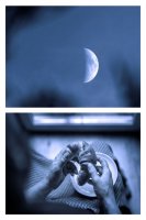 Lilianna Ligęza-Jasik - Niebieskie drzewa