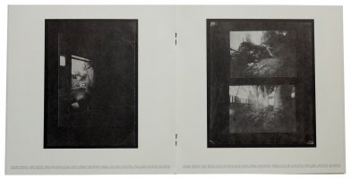 Nietrwałość fotografii wobec trwałości zmian w naturze