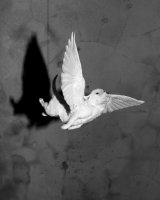 III Noc Fotografii w Warszawie