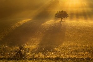 Oddycham - zbiorowa wystawa fotografii