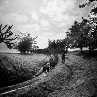 Fryderyk Kremser - Odkrywanie świata