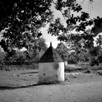 Fryderyk Kremser - Odkrywanie świata