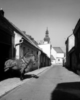 Fryderyk Kremser - Odkrywanie świata