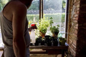 Ostrava - Katowice - Opava