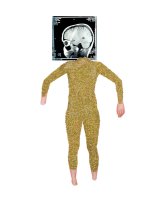 Ostrava - Katowice - Opava