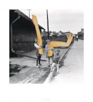 Ewa Pasternak - W twoim ogrodzie się śni. Ty musisz się obudzić