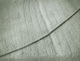 Paweł Pierściński - Pomiędzy estetyką a dokumentem