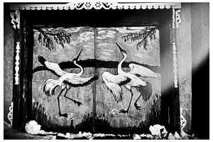 Maciej Pawelec - 88 dni w podróży po Syberii