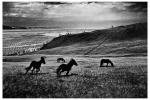 Maciej Pawelec - 88 dni w podróży po Syberii