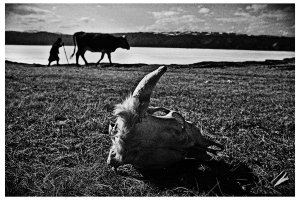 Maciej Pawelec - 88 dni w podróży po Syberii