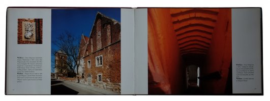 Andrzej i Krzysztof Pęczalscy - Architektura Ponidzia