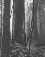 Jan Siudowski - Fotografia