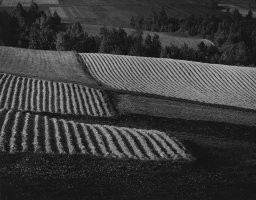 Paweł Pierściński - Krajobraz nieobecny