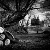 Piotr Krzyżak - Cerkwie Grekokatolickie Polski południowo-wschodniej