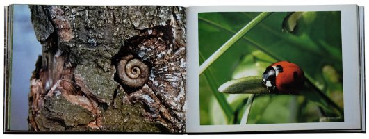 Dolina Narwi - Międzynarodowy Plener Fotograficzny