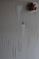 Katarzyna Barton - Pożoga