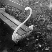 Wojciech Prażmowski