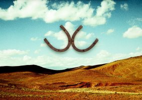 Patrycja Basińska - Projekcje