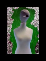 Antoni Kreis - Przeźroczystość