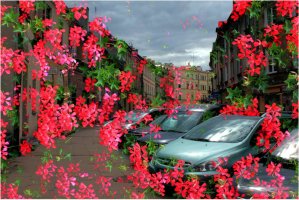 Antoni Kreis - Przeźroczystość